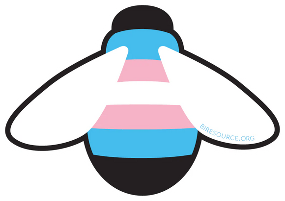 Bisexual Resource Center Store